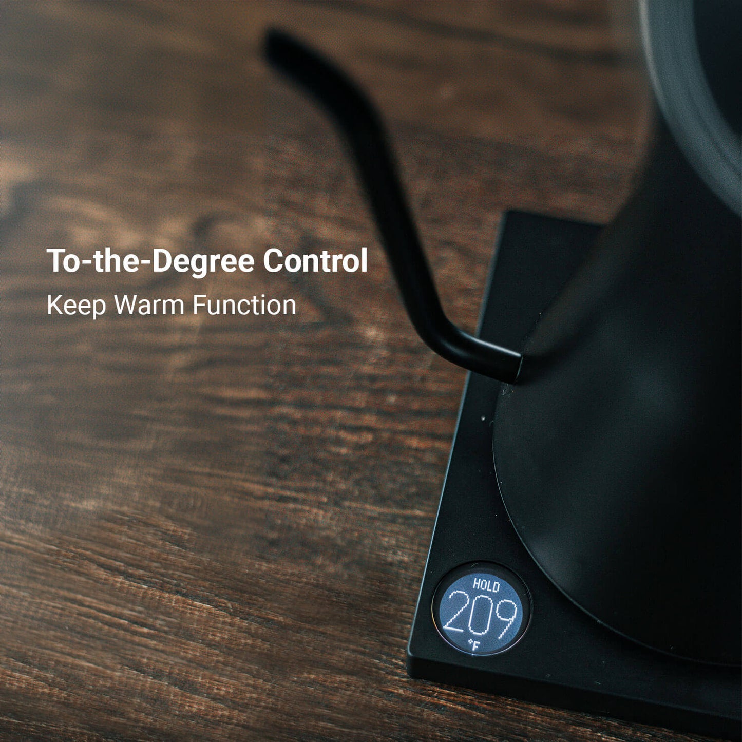 Budan Temperature Control Kettle
